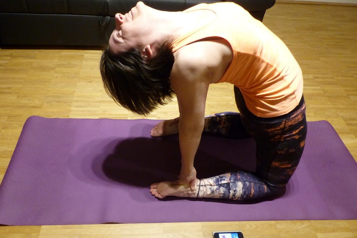 Yoga-App Asana Rebel im Test: Dein Yoga-Quicky für daheim!