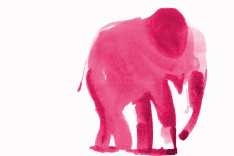 Martin Suter: Ein kleiner, rosaroter Elefant ganz groß