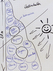 kraeutergarten, gartenanfaenger, kraeuter, tipps, standort, auswahl, anlage, skizze, plan