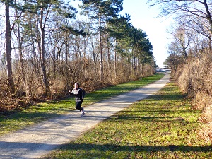 laufstrecken in wien, laufstrecken, wien, laufen, natur, laufen in der natur, im gruenen, laaer wald, favoriten, boehmischer prater