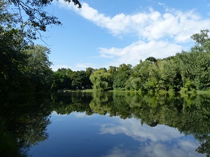 laufstrecken in wien, laufstrecken, wien, laufen, natur, laufen in der natur, im grünen, grüner prater, prater