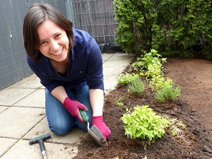 kraeutergarten, gartenanfaenger, kraeuter, tipps, standort, auswahl, anlage, zeitpunkt, pflege, pflanzen, kraeutergarten anlegen, anlegen