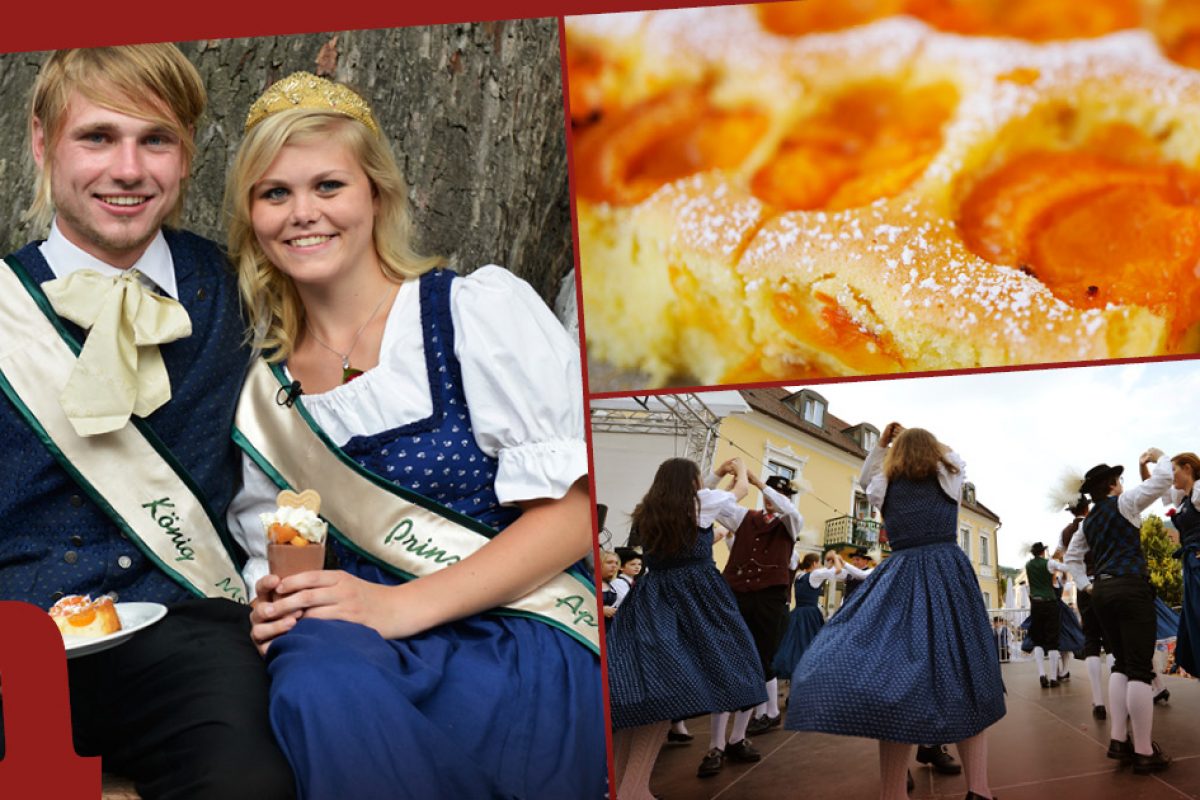 Hoch lebe Aprikosia! Alles Marille in Krems und Spitzer Marillenkirtag