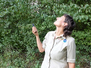 bat-detektor, fledermauswanderung, nationalpark donau-auen, , nationalpark, donau-auen, rangerin, eva pölzl