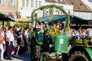 retz, retzer weinlesefest,highlights, traktor, traktorschau