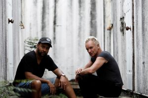 Sting und Shaggy Konzert im Burgenland: Akribie trifft Spontanität
