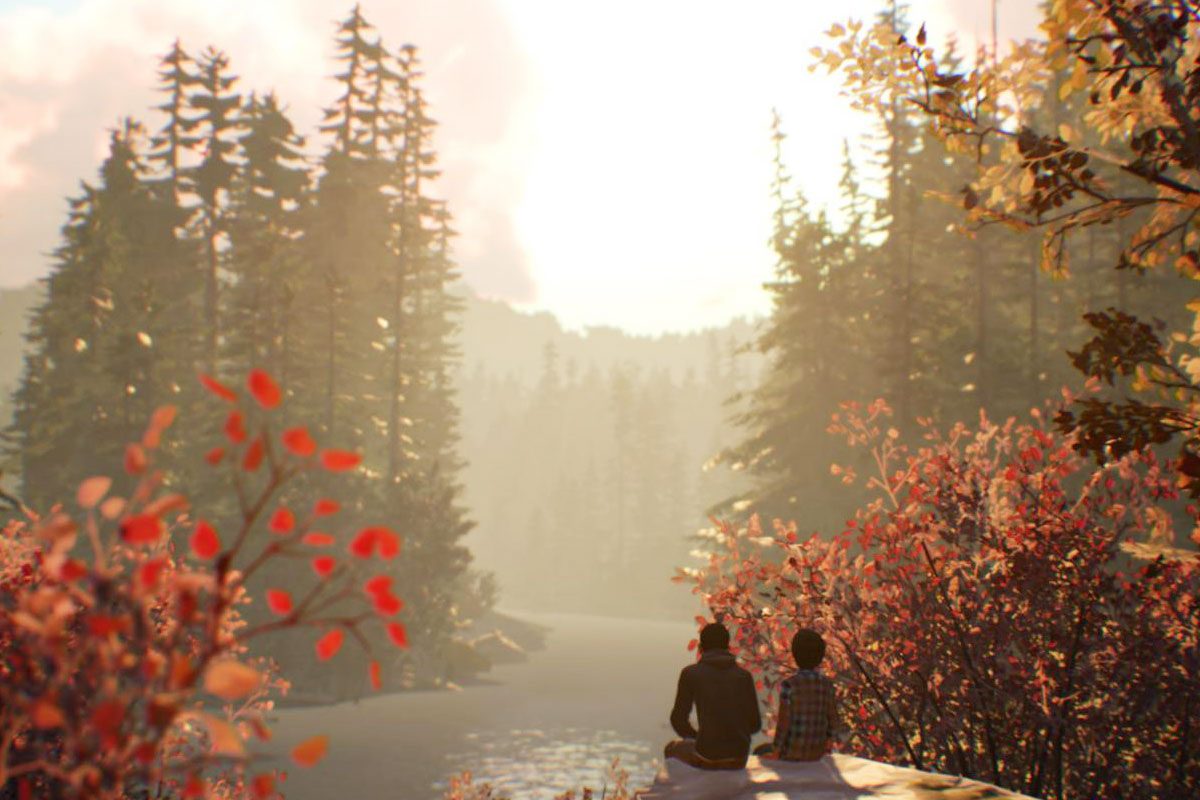 Life is Strange 2 Review – ein bisschen hölzern Into The Wild