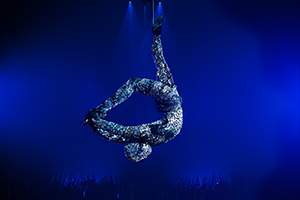 Cirque Du Soleil, Totem, Akrobaten, Zirkus, Events