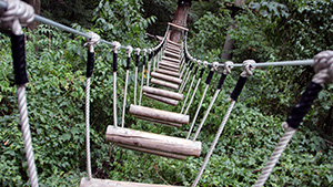 waldseilpark kahlenberg, klettern, parcours, route, kletterpark, wienerwald, hängebrücke