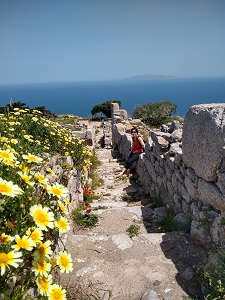 antikes thera, santorini, kronenwucherblumen, ruinen, meerblick, mauer, weg