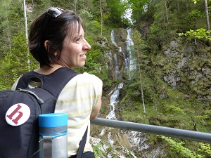 Wasserfall. Brücke, Wald, Helden, Naturpark, Ötscher, Tormäuer