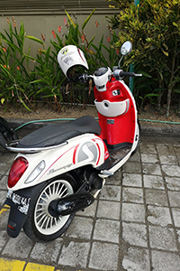 Roller, Moped, Indonesien
