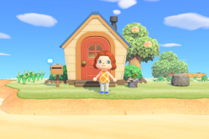 animalcrossing new horizons, nintendo switch, test, kritik,