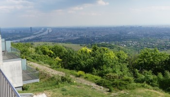 Ausblick, Geländer, Bäume, Wien, Kahlenberg