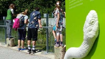 Familie und Rangerin vor dem Schlangengehege auf der Schlossinsel in Orth.