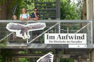 Seeadler! Ausstellung des Nationalparks gibt tolle Einblicke