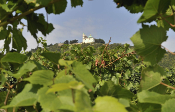 stadtwanderweg 1a, leopoldsberg, aussicht