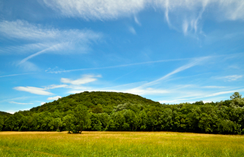 sophienalpe, hohe wand, stadtwanderweg 8