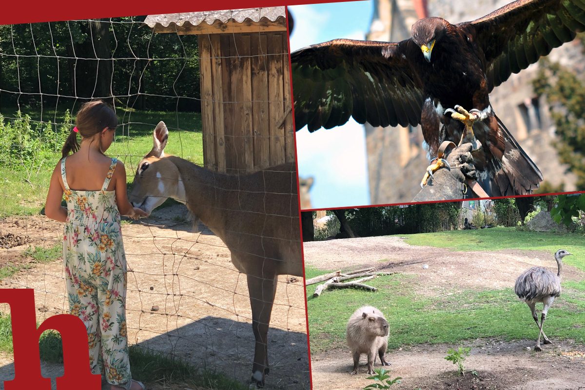 15 Naturparks in Wien und NÖ für einen tierisch coolen Ausflug