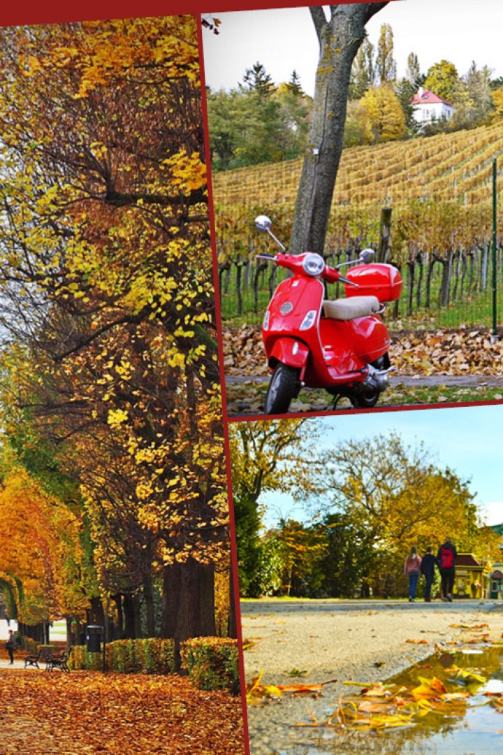 Herbst in Wien: 55 geniale Orte & Tipps für einen Herbstausflug