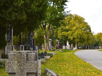 Einer der schönsten Orte im Herbst in Wien ist der Zentralfriedhof.