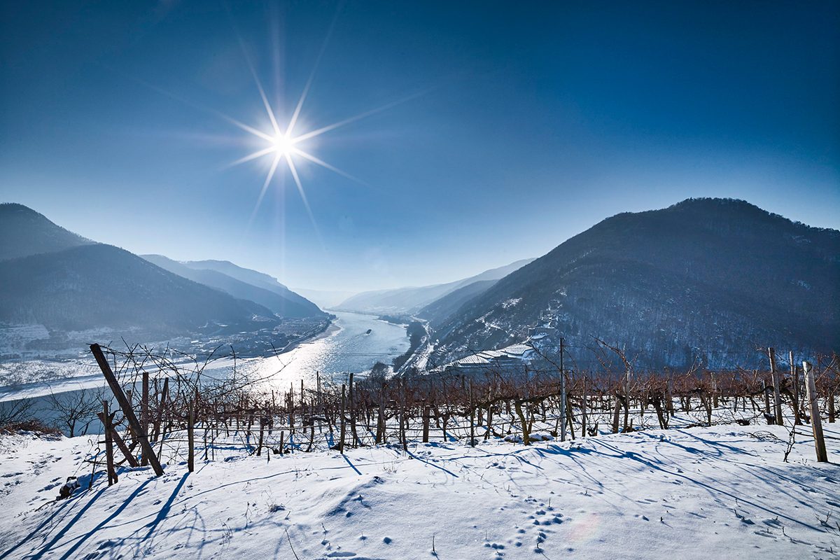 Winterwandern in der Wachau – 3 Routen im Weltkulturerbe