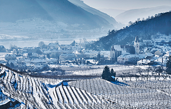 winterwandern, spitz, waldgeistweg