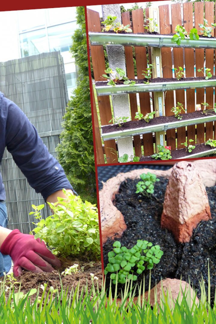 Gartentipps: 6 geniale Ideen für deine Erholungsoase