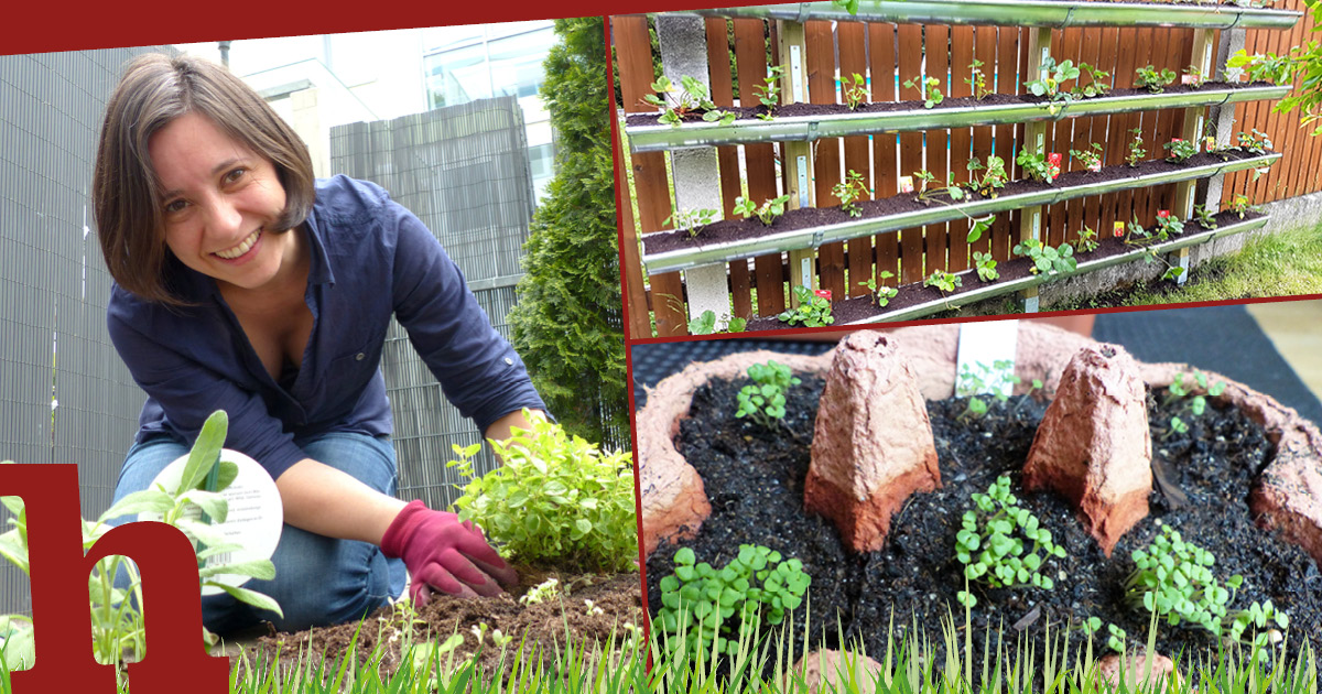 Gärtnern für Anfänger 6 Tipps für deine Gartengestaltung