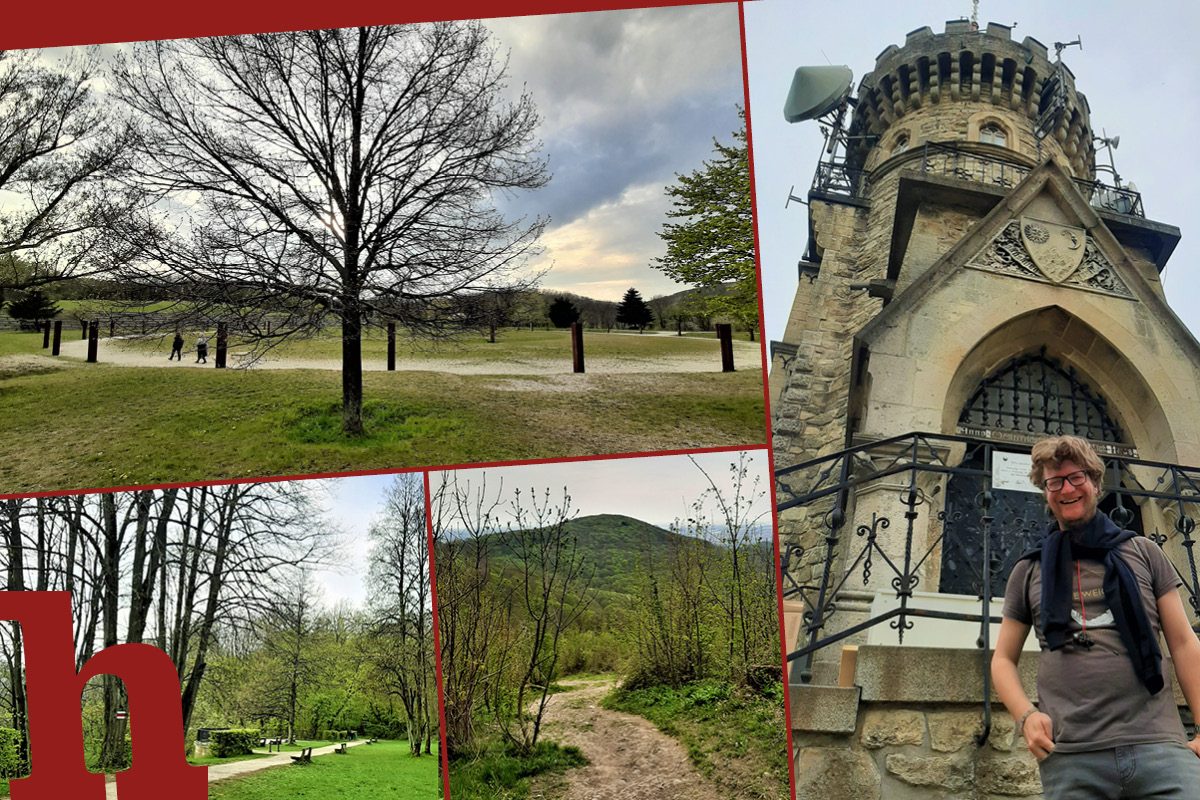 Wiener Stadtwanderweg 2: Ein toller Trip zum Hermannskogel