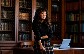 die professorin, the chair, sandra oh