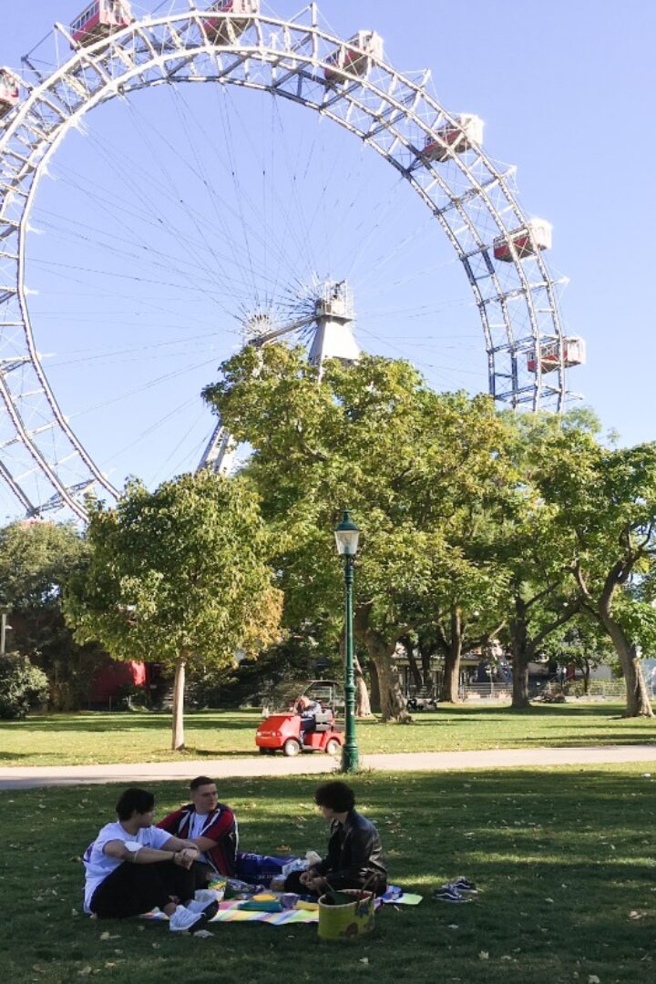 Picknick in Wien: 10 schöne und gemütliche Plätze
