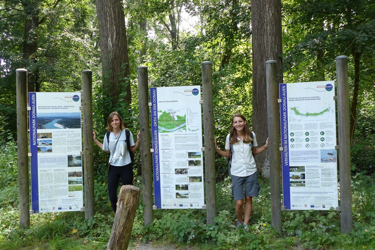 Wandern mit persönlichem Ranger im Nationalpark Donau-Auen