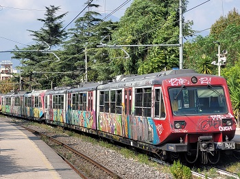 Ein mit Graffiti bemalter Zug steht in einer Station, dahinter Bäume.