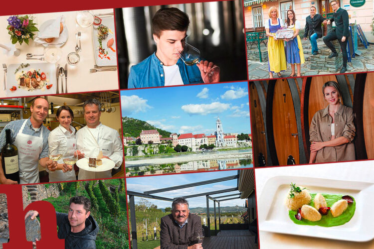 Wachau Gourmet Festival 2021 – das heurige Genuss-Programm