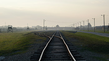 auschwitz, der schönste tag, dokumentarfilm, holocaust, shoa, zweiter weltkrieg, österreich