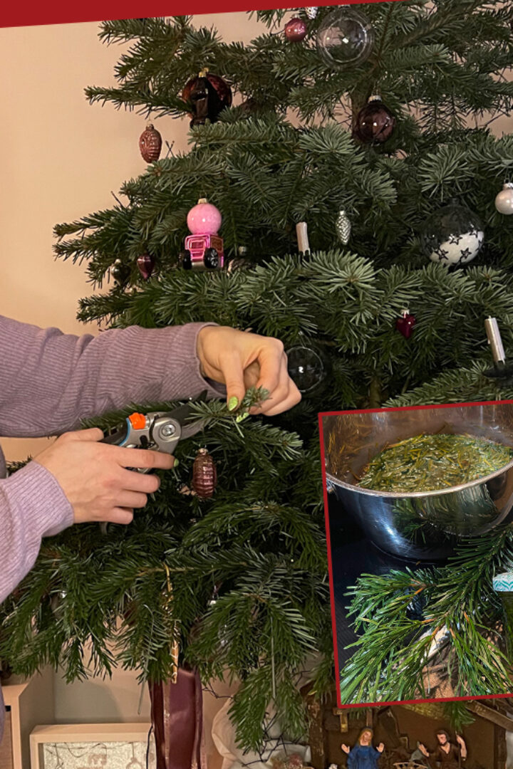 3 Weihnachtsbaum-Upcycling Ideen – einfach und nachhaltig