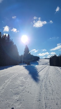 Verschneite Lichtung