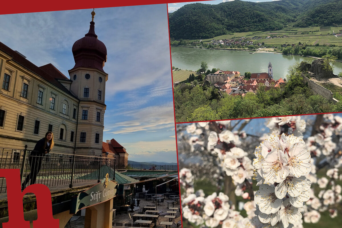 Wachau Ausflug – 10 Top-Highlights, die du sehen musst