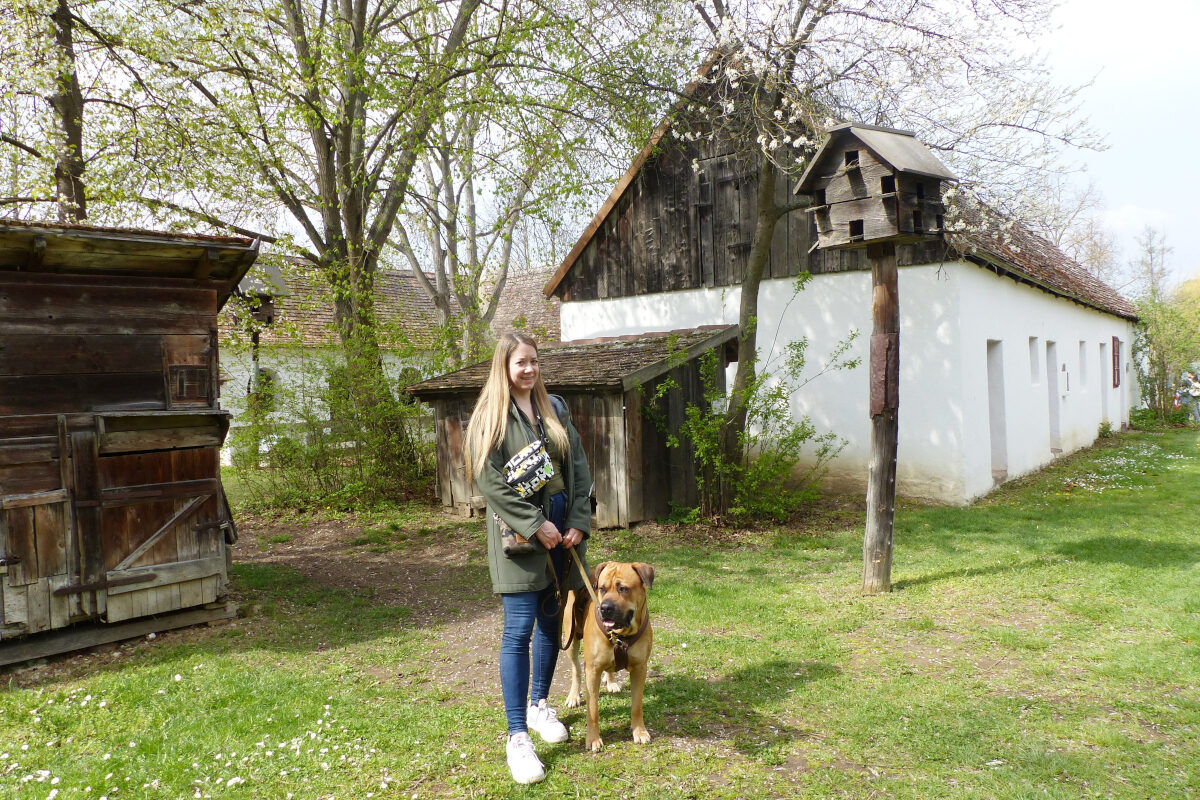 Museumsdorf Niedersulz – eine urige Zeitreise ins alte Weinviertel