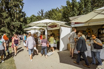 Genuss, Festival, Menschen, Sonne