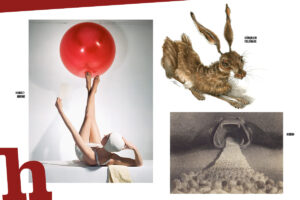 Ausstellungen in Wien im Sommer: 11 Top-Tipps