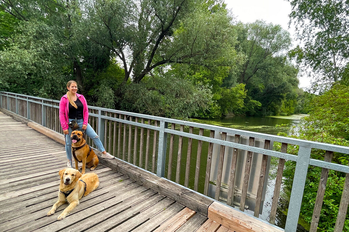 Wasserpark Tulln – erfrischende Runde für Menschen und Hunde