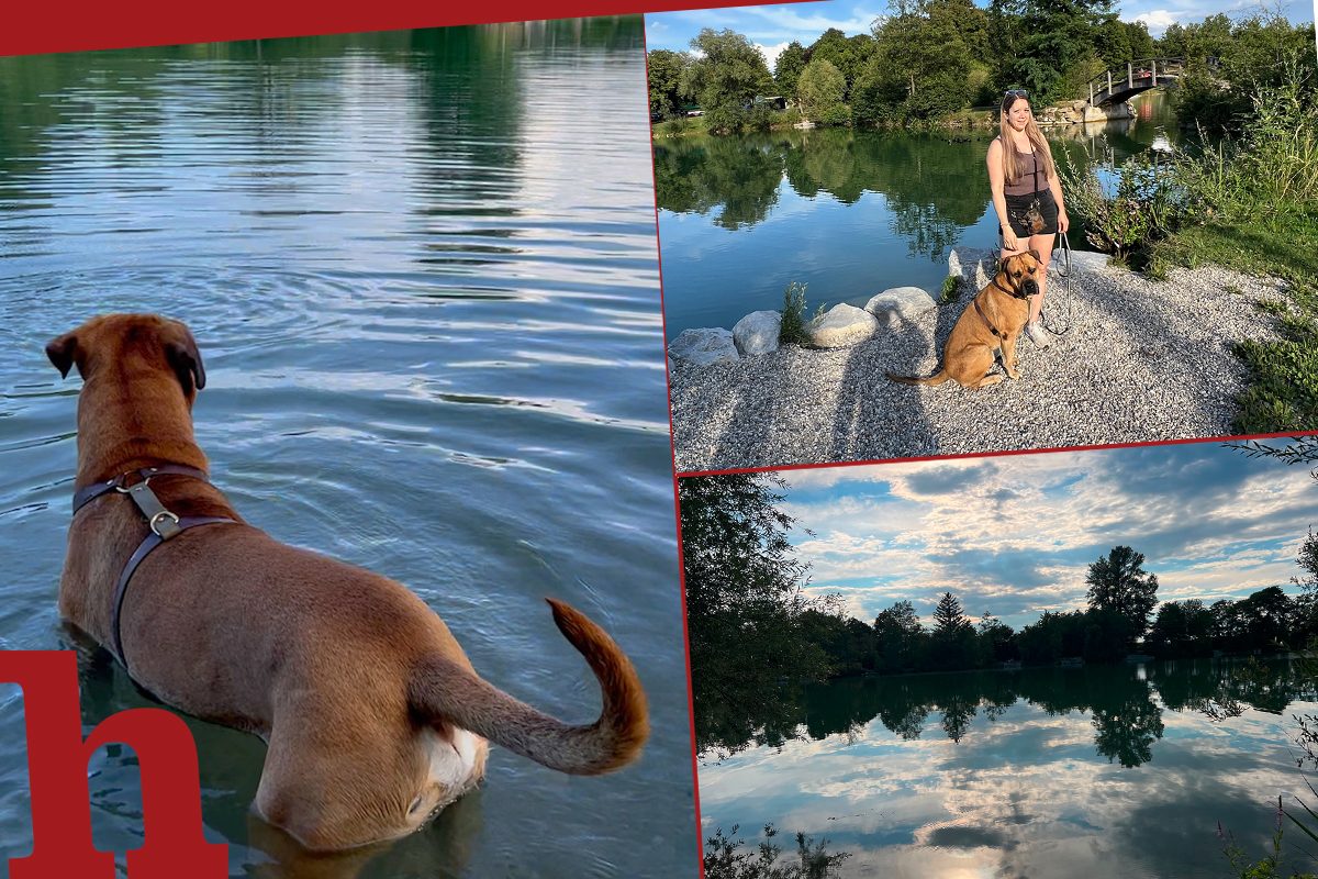 Ebersdorfer See – Paradies für Familien, Angler und Hunde
