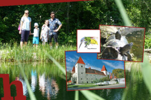 Gewinn Familien-Saisonkarte für das Schloss Orth plus Klapp-Bilderbuch
