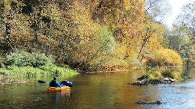 Bootfahren auf der Thaya bei Raabs im Herbst mit einem Anfibio Delta MX