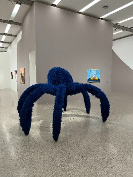 Aktuelle Ausstellung mumok, Wien, Spinne, Blaue Witwe, Insekt