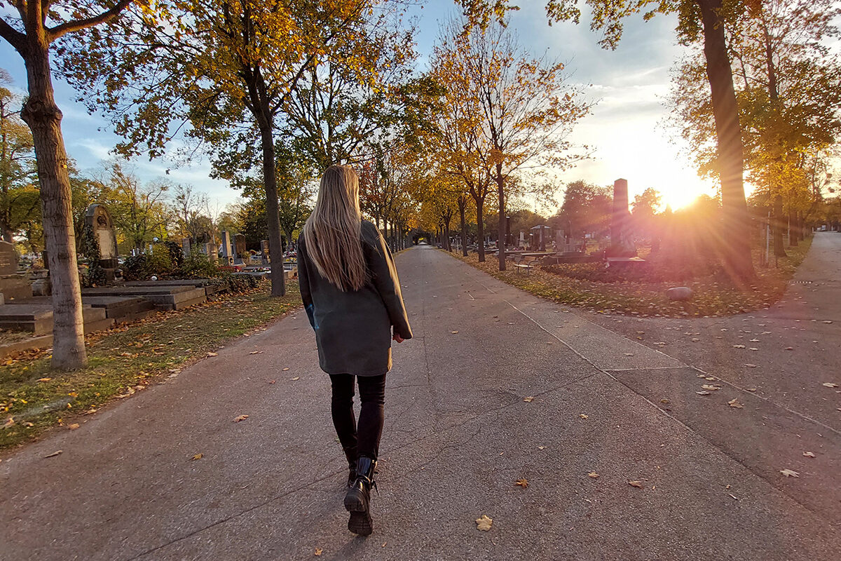 Zentralfriedhof Tour – so wird dein Besuch zum lebendigen Erlebnis