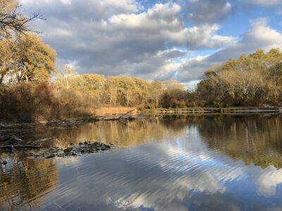 See in der Lobau