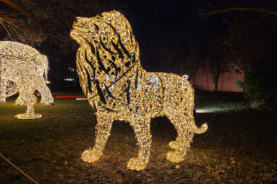 Ein Löwe aus Lichtern bei Lumagica